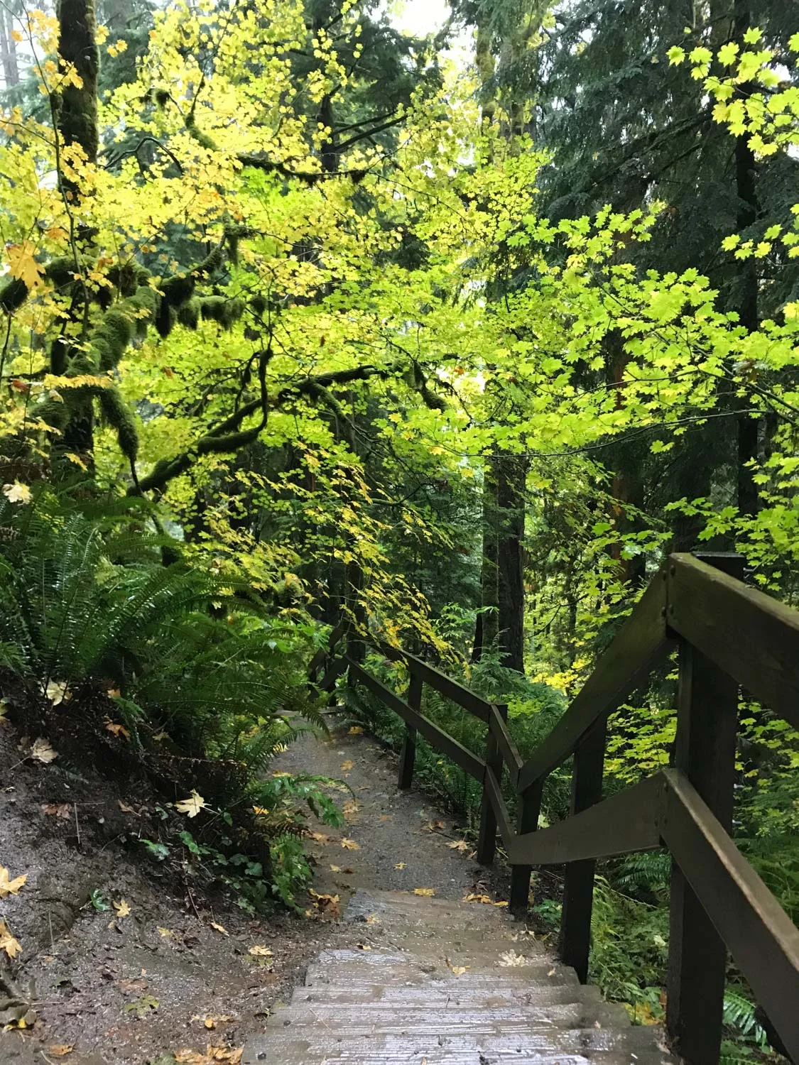 Stairs to view of the waterfall