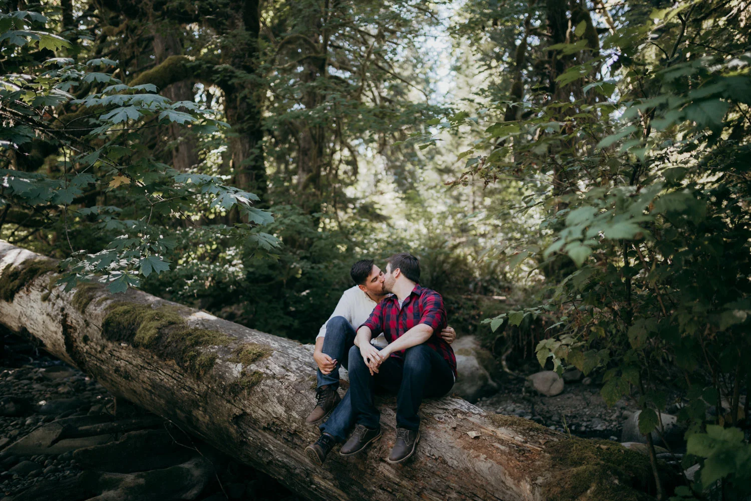 Pacific Northwest Forest Proposal
