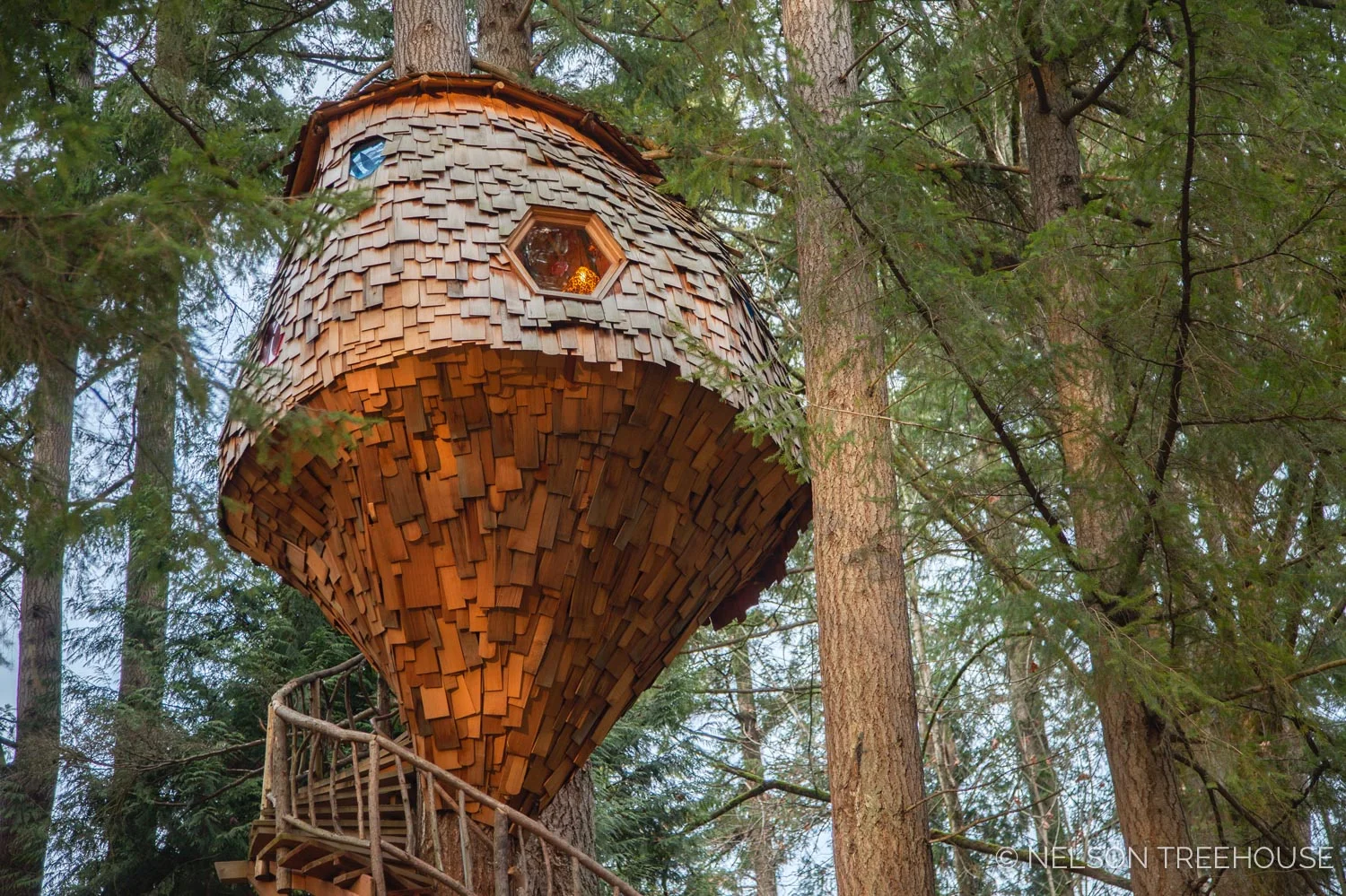 Cedar shingles on the beehive treehouse