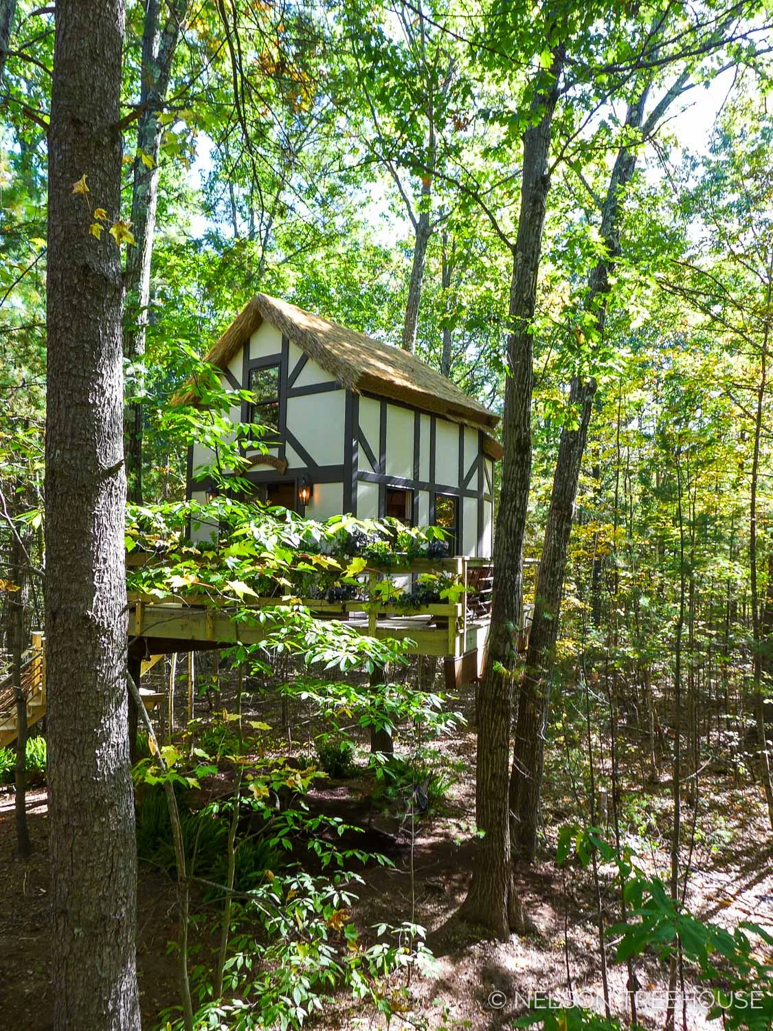 MA-Nelson-Treehouse-2017-28.jpg