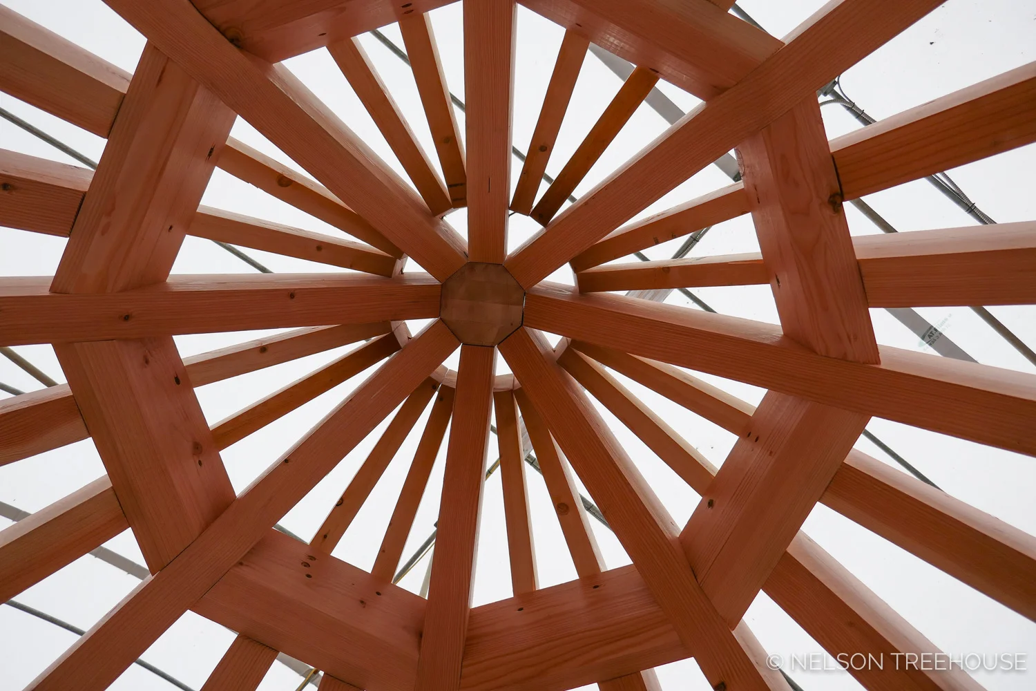 Treehouse turret from below