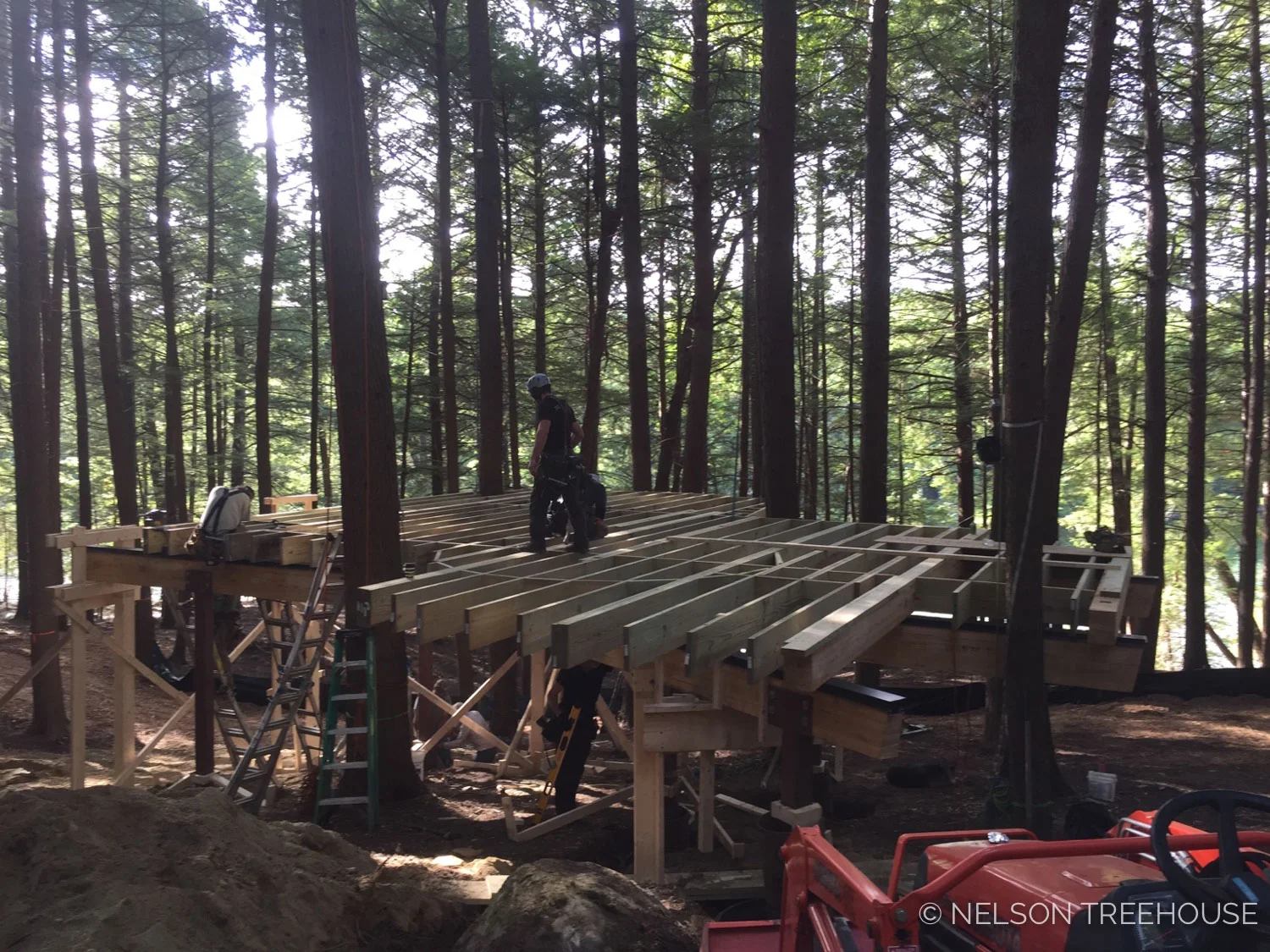 Platform for the Magical Maine Treehouse