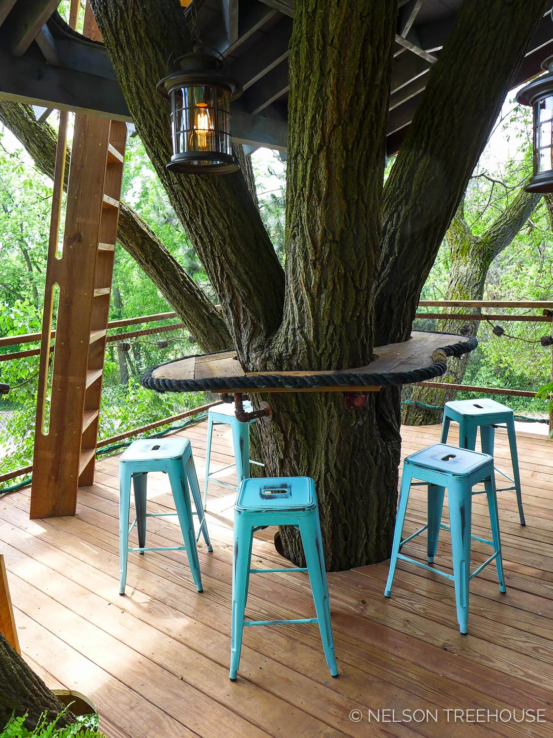 Trempaleau_WI_Nelson_Treehouse_2017-48.jpg