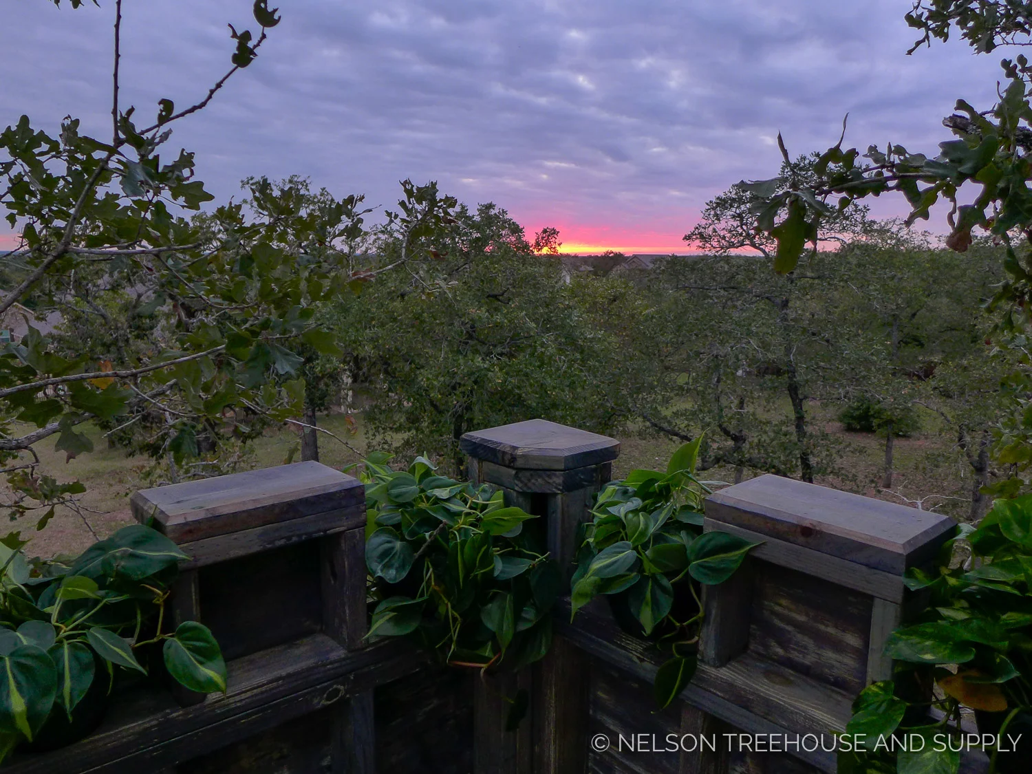 Bastrop-TX-2017-Nelson-Treehouse-12.jpg