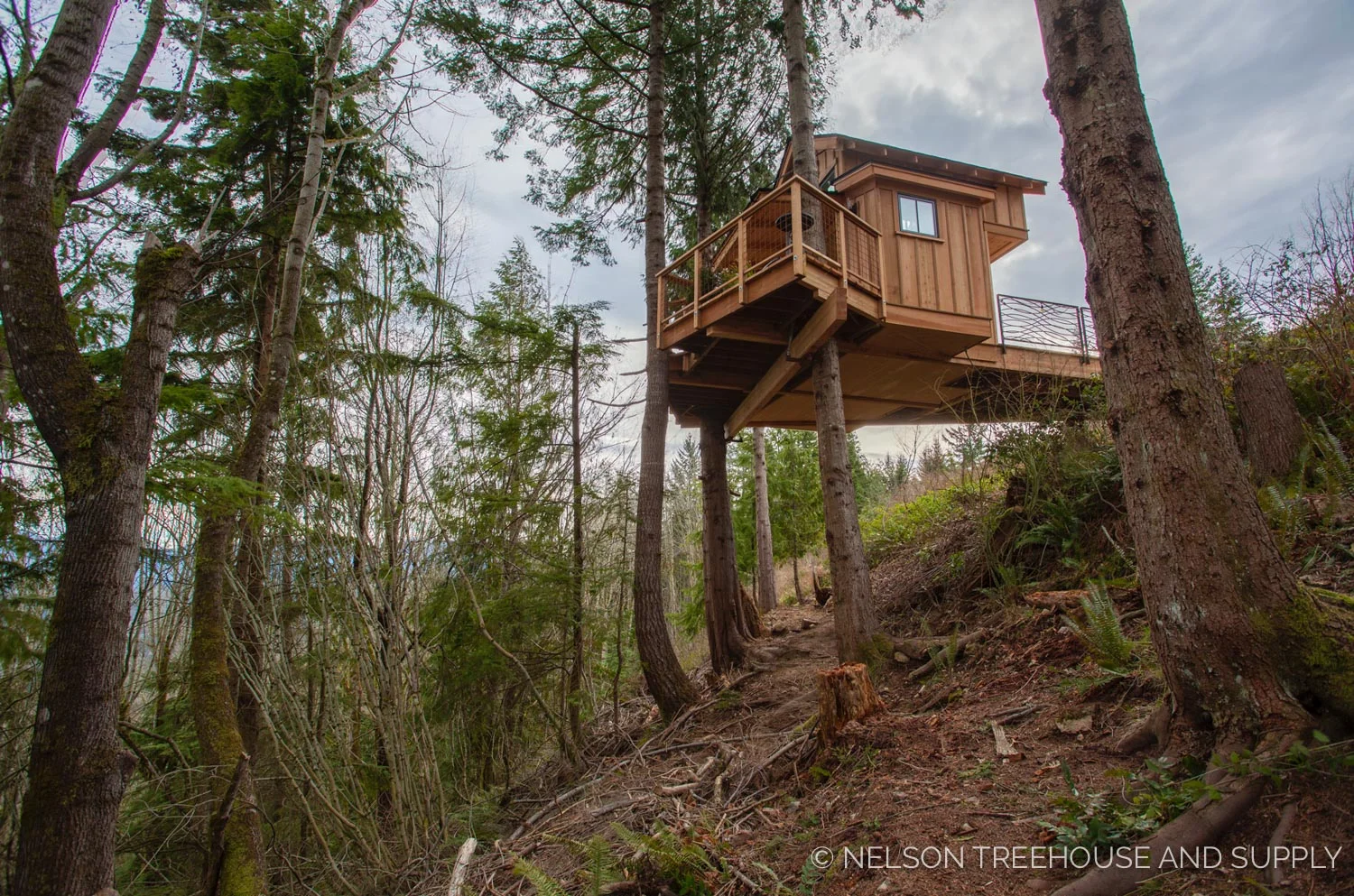 side view of the Bulldog Bungalow - nelson Treehouse