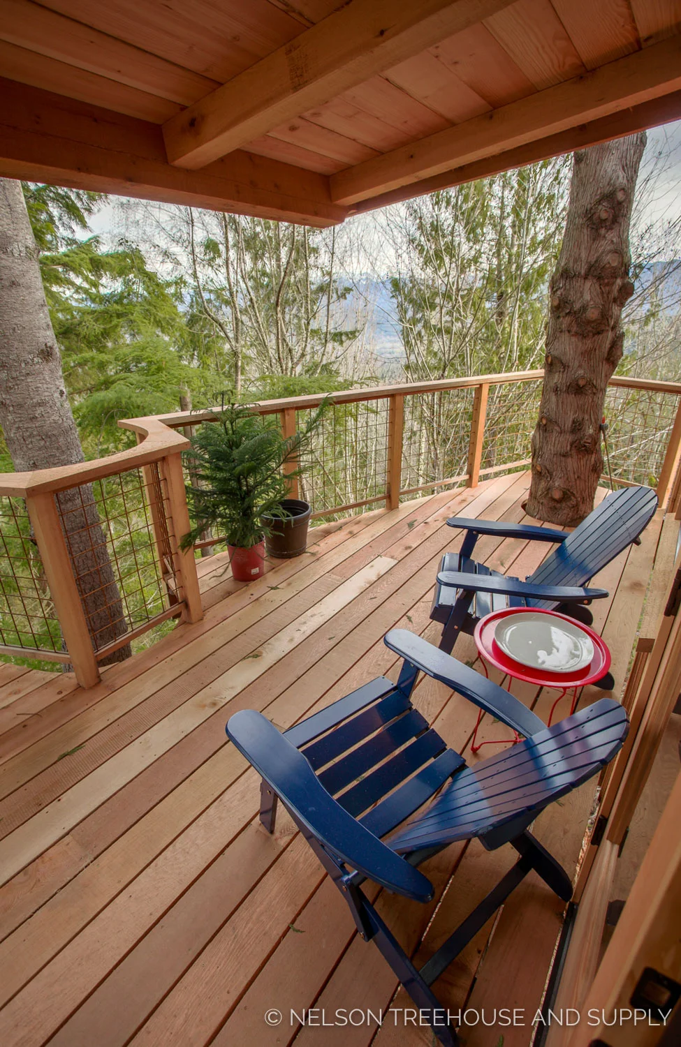 Bulldog Bungalow deck view - nelson Treehouse