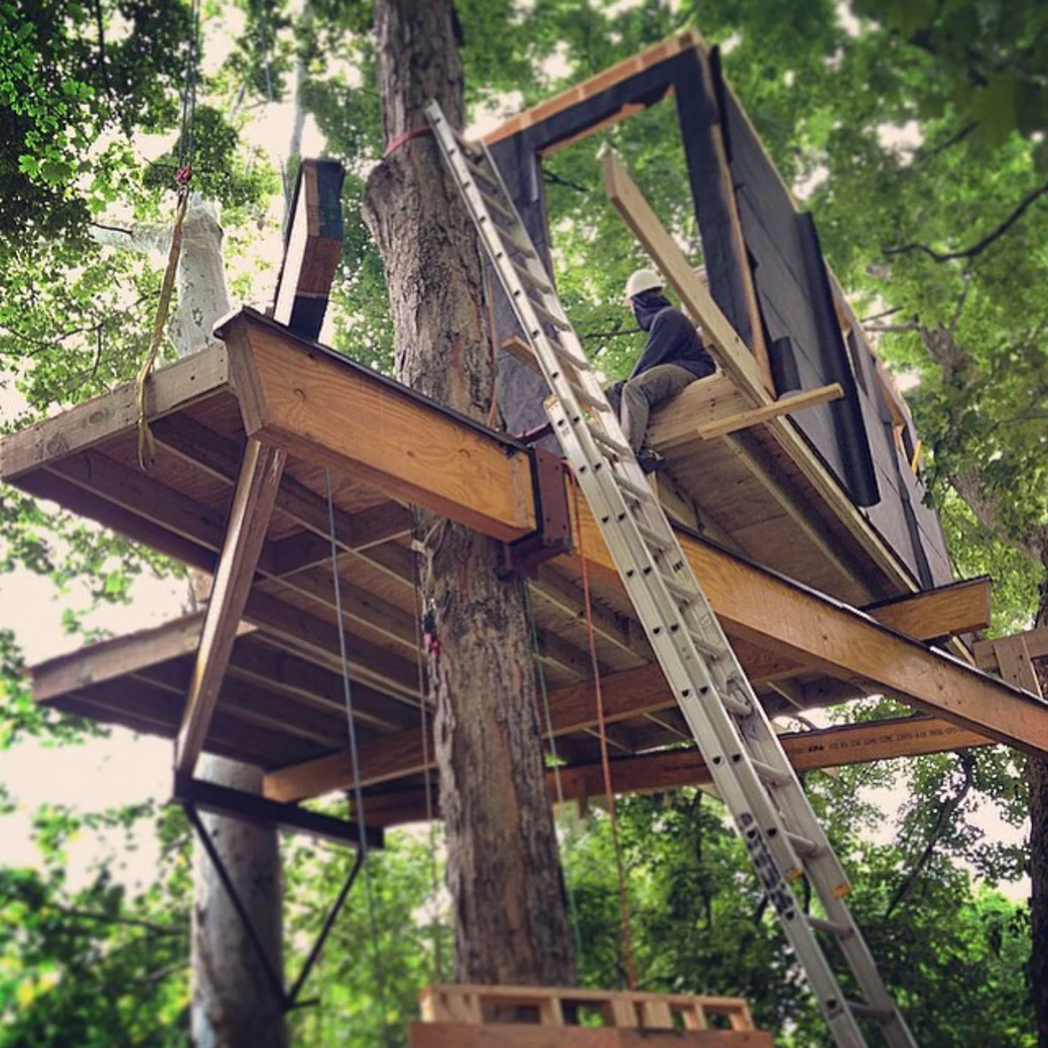Garrett taking it all in on his first adventure with the nelson treehouse crew.