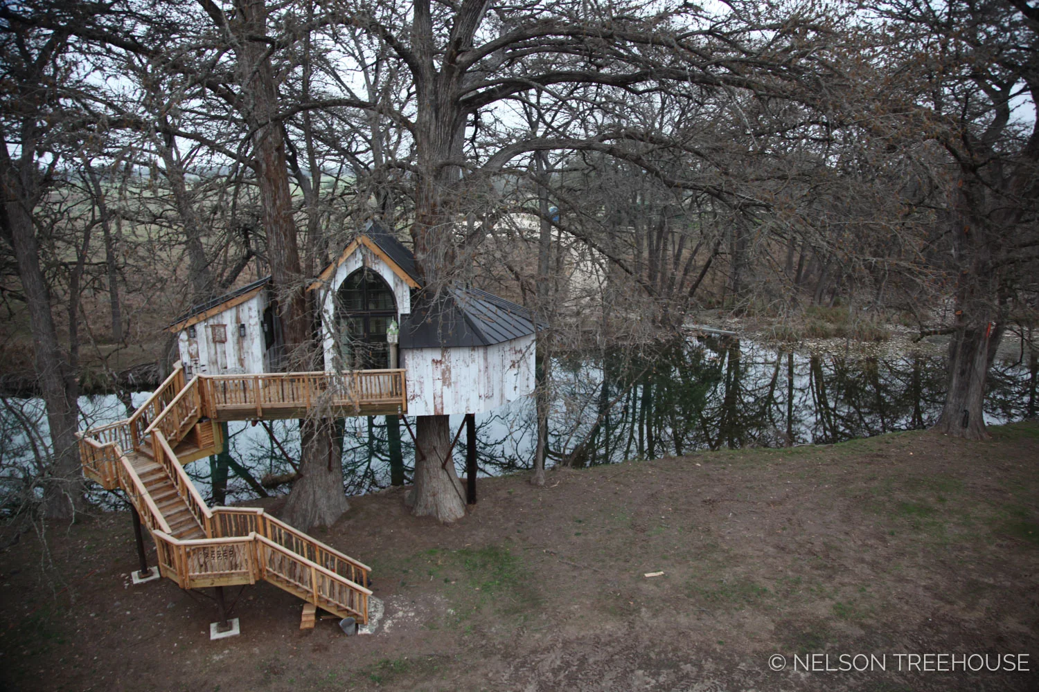 treehouse-utopia-update-2018-2.jpg