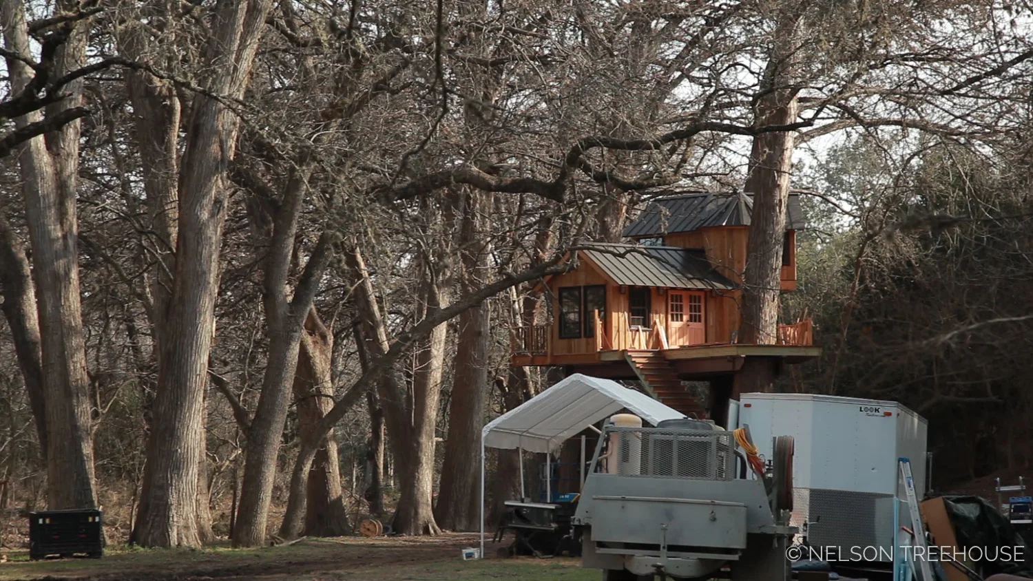 treehouse-utopia-update-2018-7.jpg