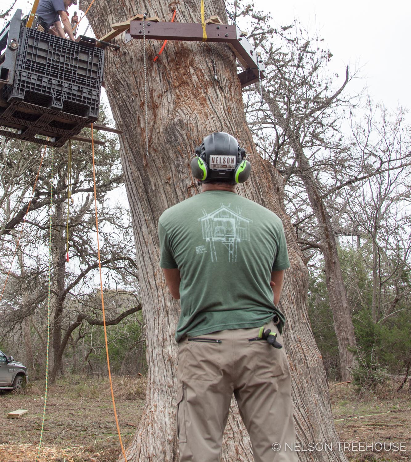 treehouse-utopia-update-2018-13.jpg