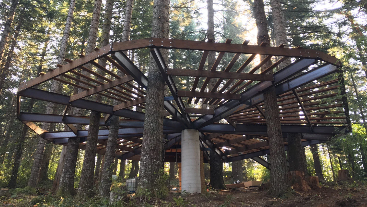 Phil-DIY-Treedeck-17.jpg