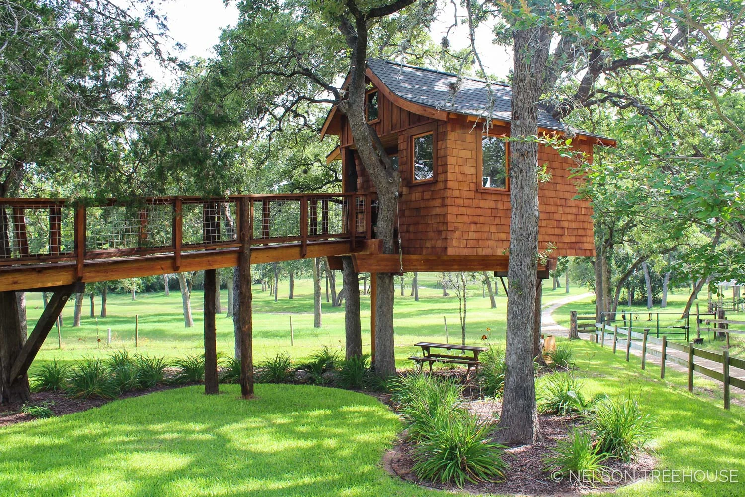 spa-texas-nelson-treehouse-2013-8.jpg