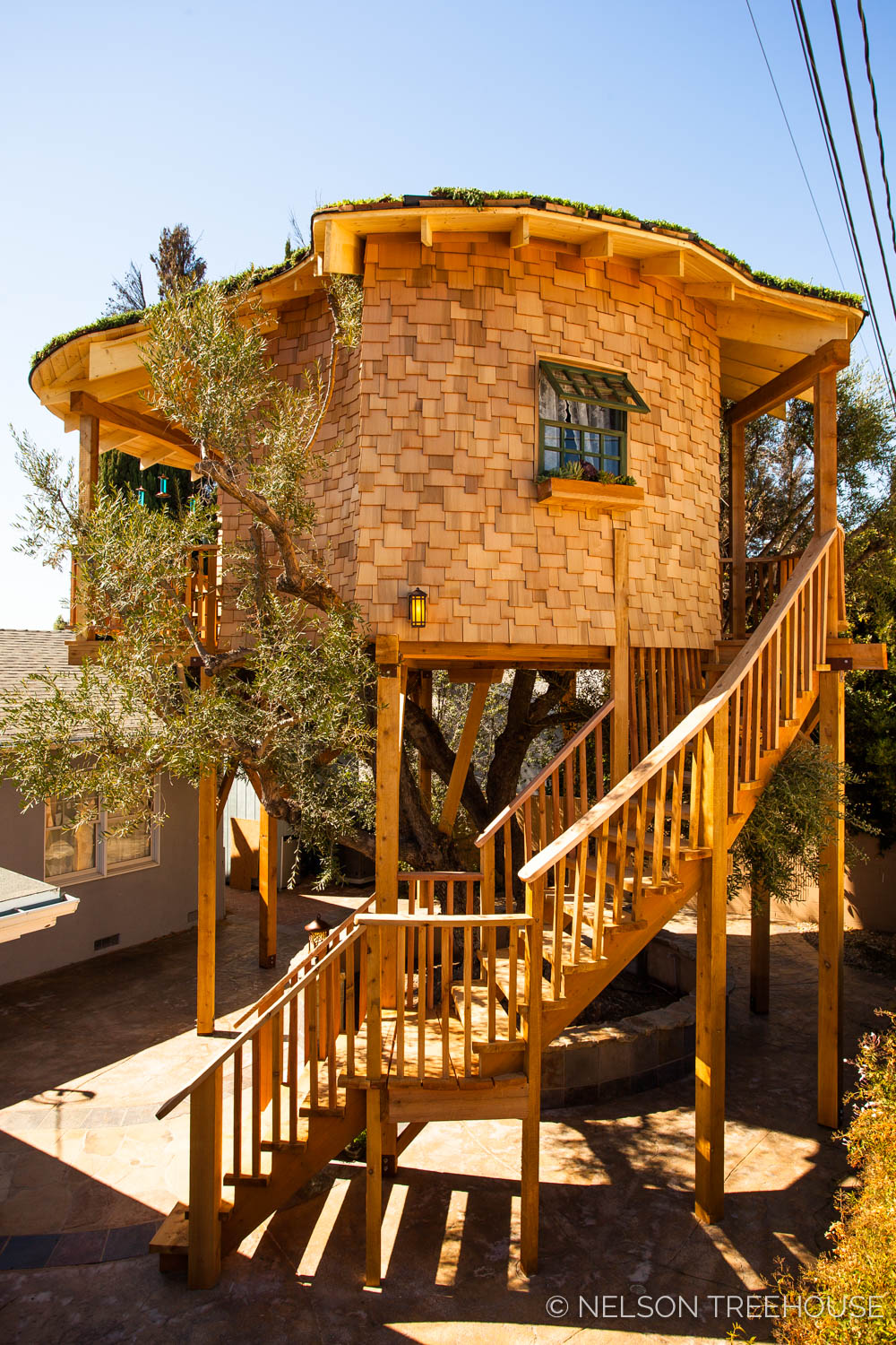 Irish Cottage In The Trees Nelson Treehouse