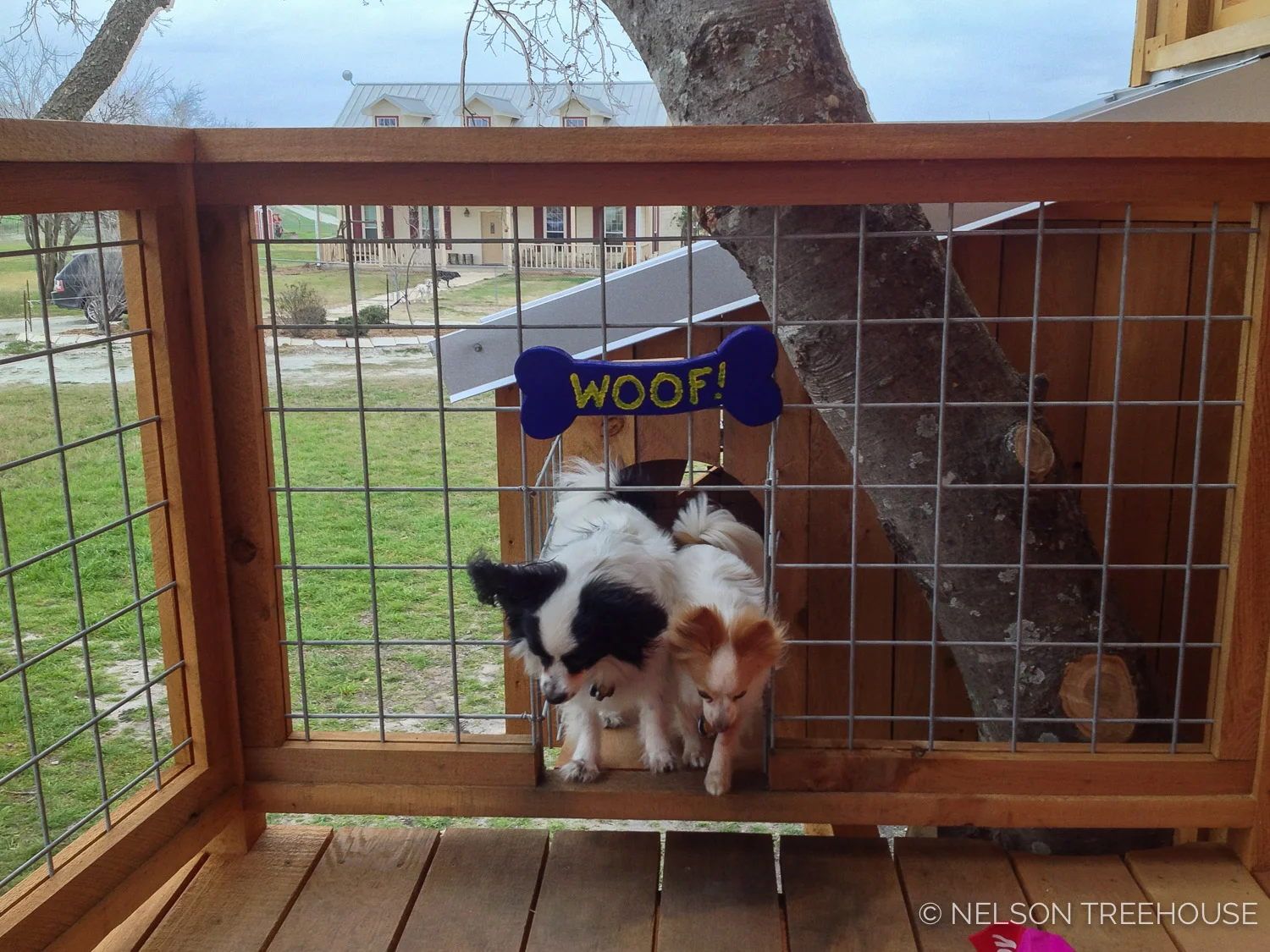 Nelson Treehouse - Twenty-Ton Texas Treehouse dog house