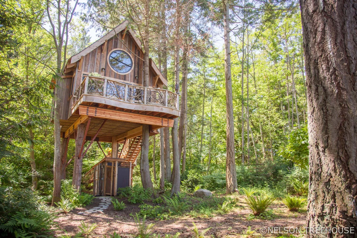 Seaside Treehouse - Nelson Treehouse 1