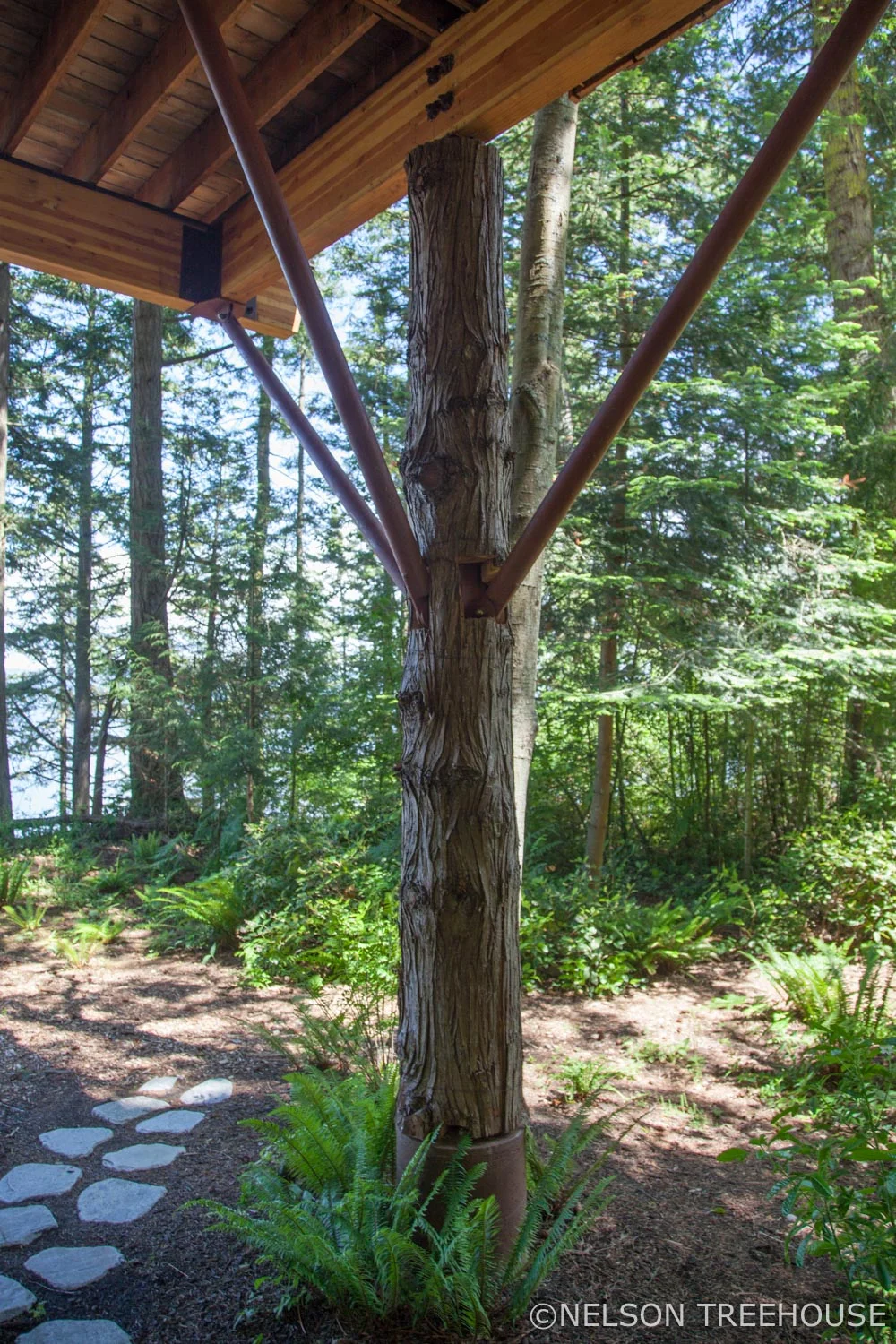 seaside Treehouse - Nelson Treehouse - Faux Tree