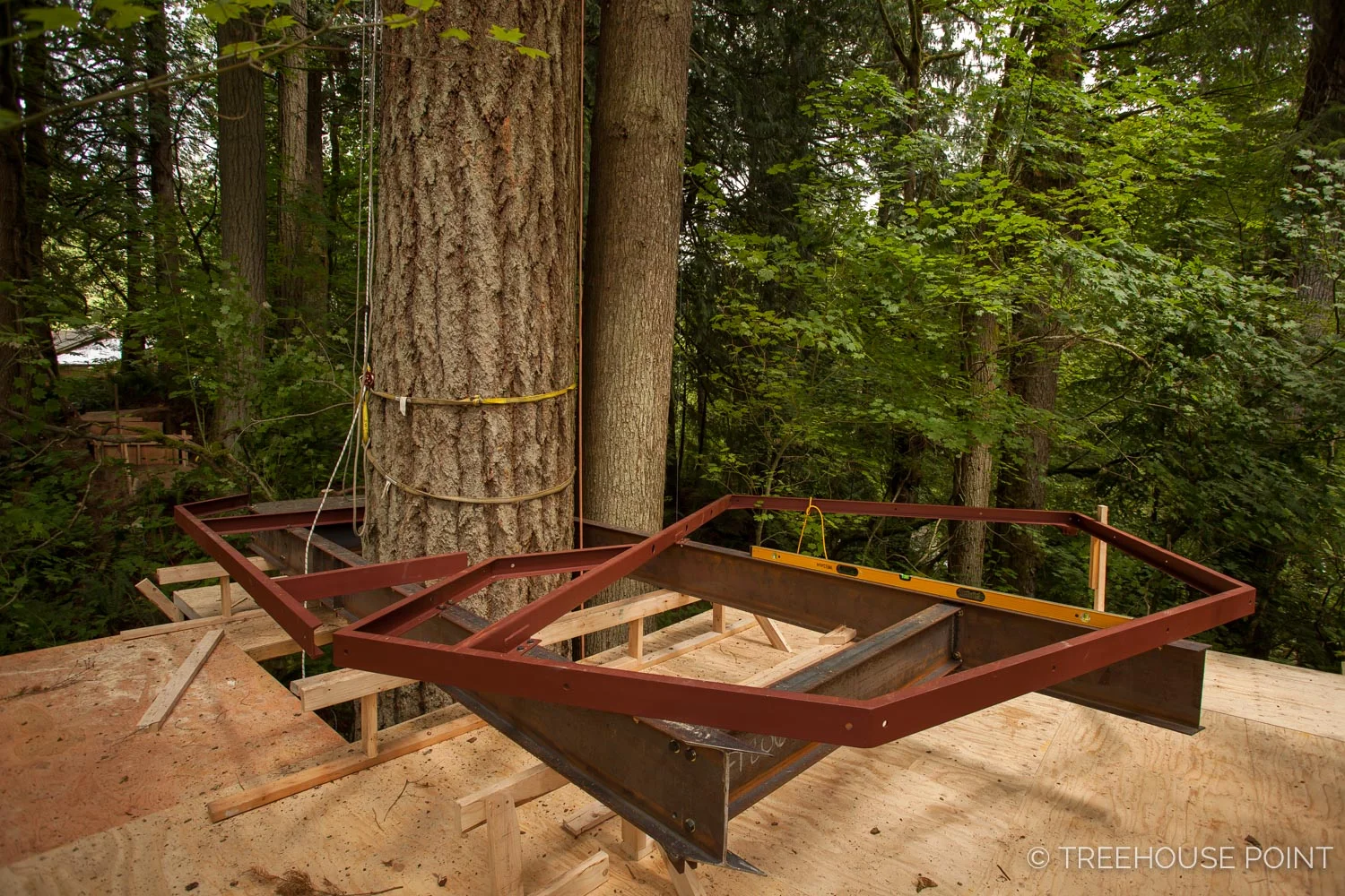 THP_Burl_Construction-104.jpg