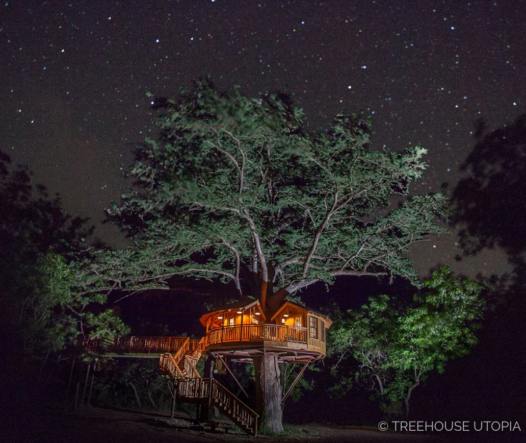 Biblioteque at Treehouse Utopia