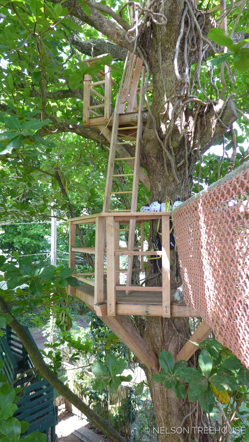 Kauai-Nelson-Treehouse-2018-237.jpg