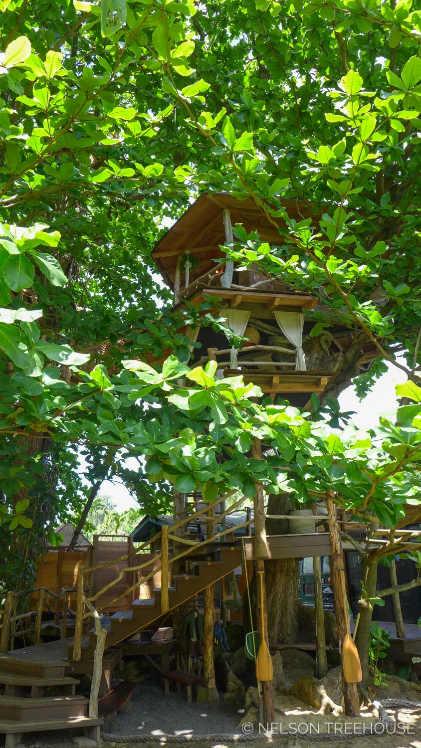 Kauai-Nelson-Treehouse-2018-325.jpg