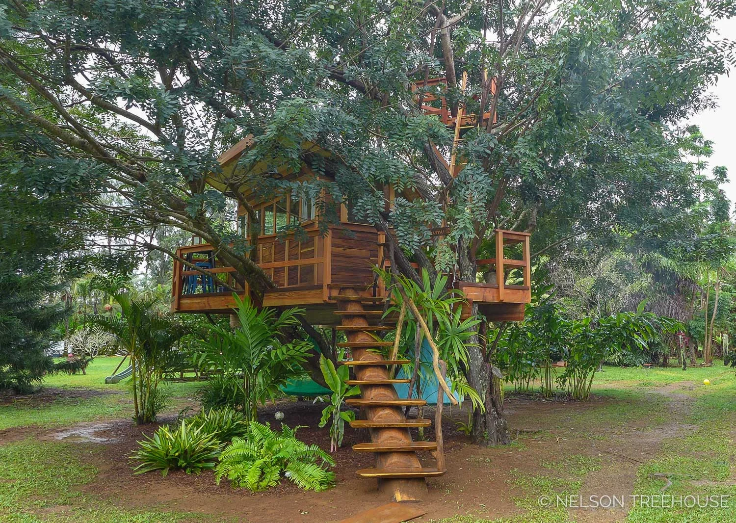 Kauai-Nelson-Treehouse-2018-72.jpg