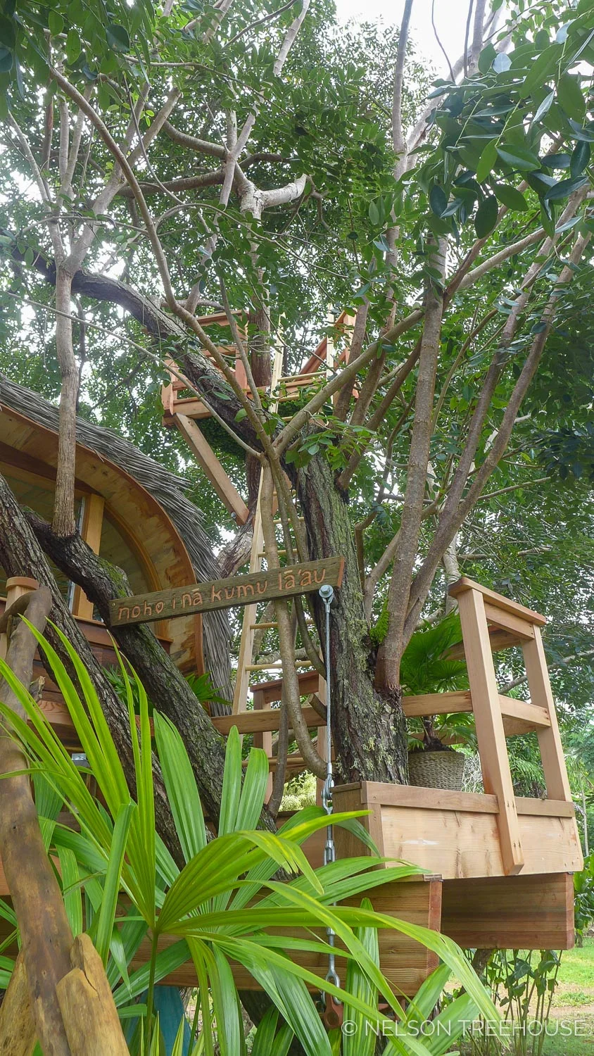 Kauai-Nelson-Treehouse-2018-122.jpg