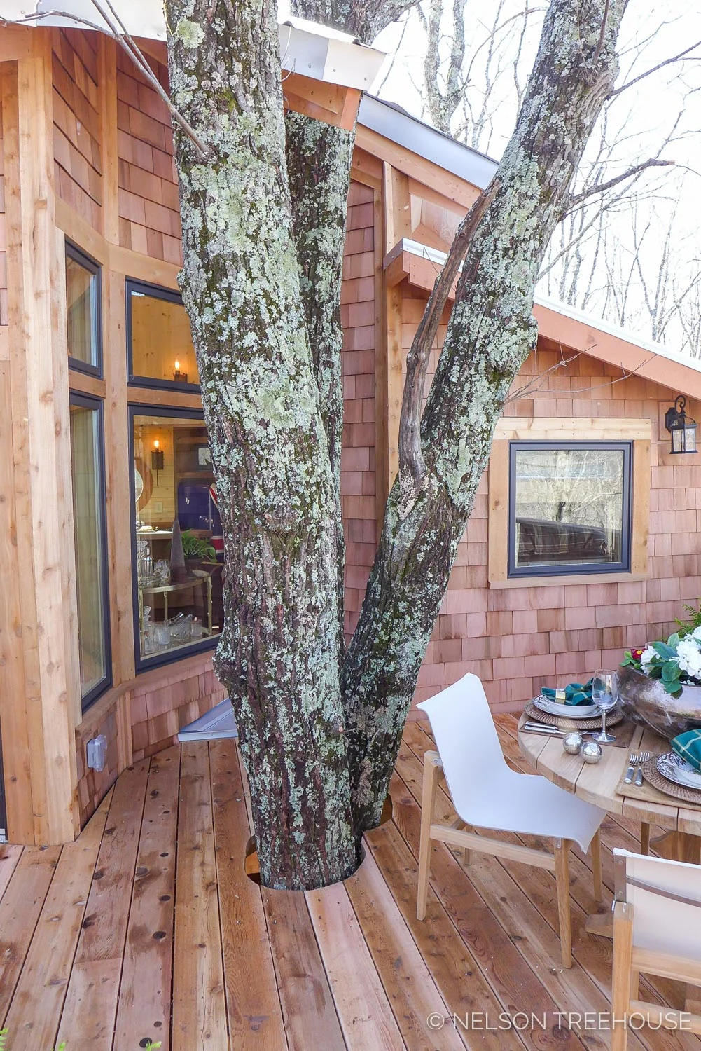 Super Spy Treehouse - Nelson Treehouse 2018 - Trees through deck