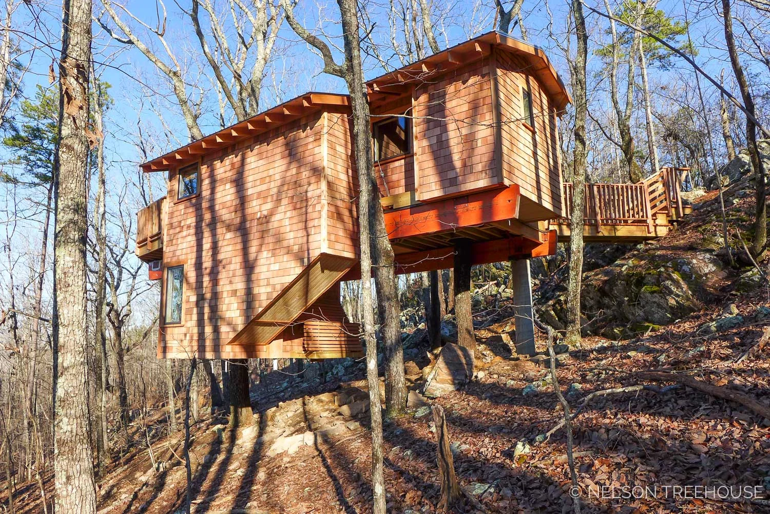 Super Spy Treehouse - Nelson Treehouse 2018 - Back