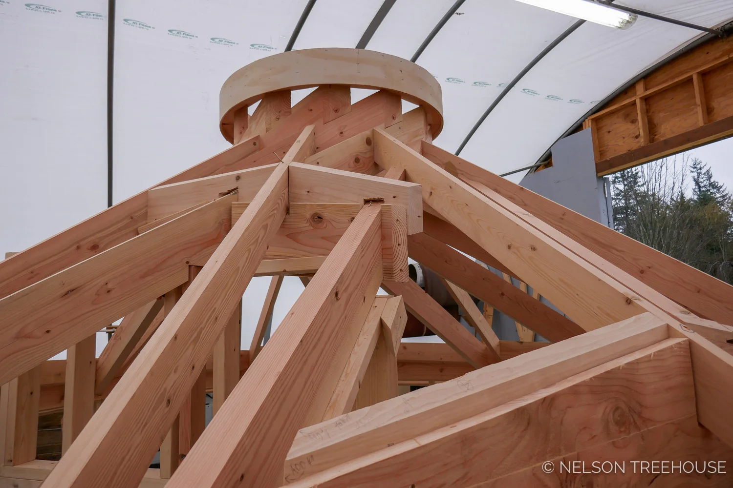 Nelson-Treehouse-Reciprocal_Roof-3.jpg