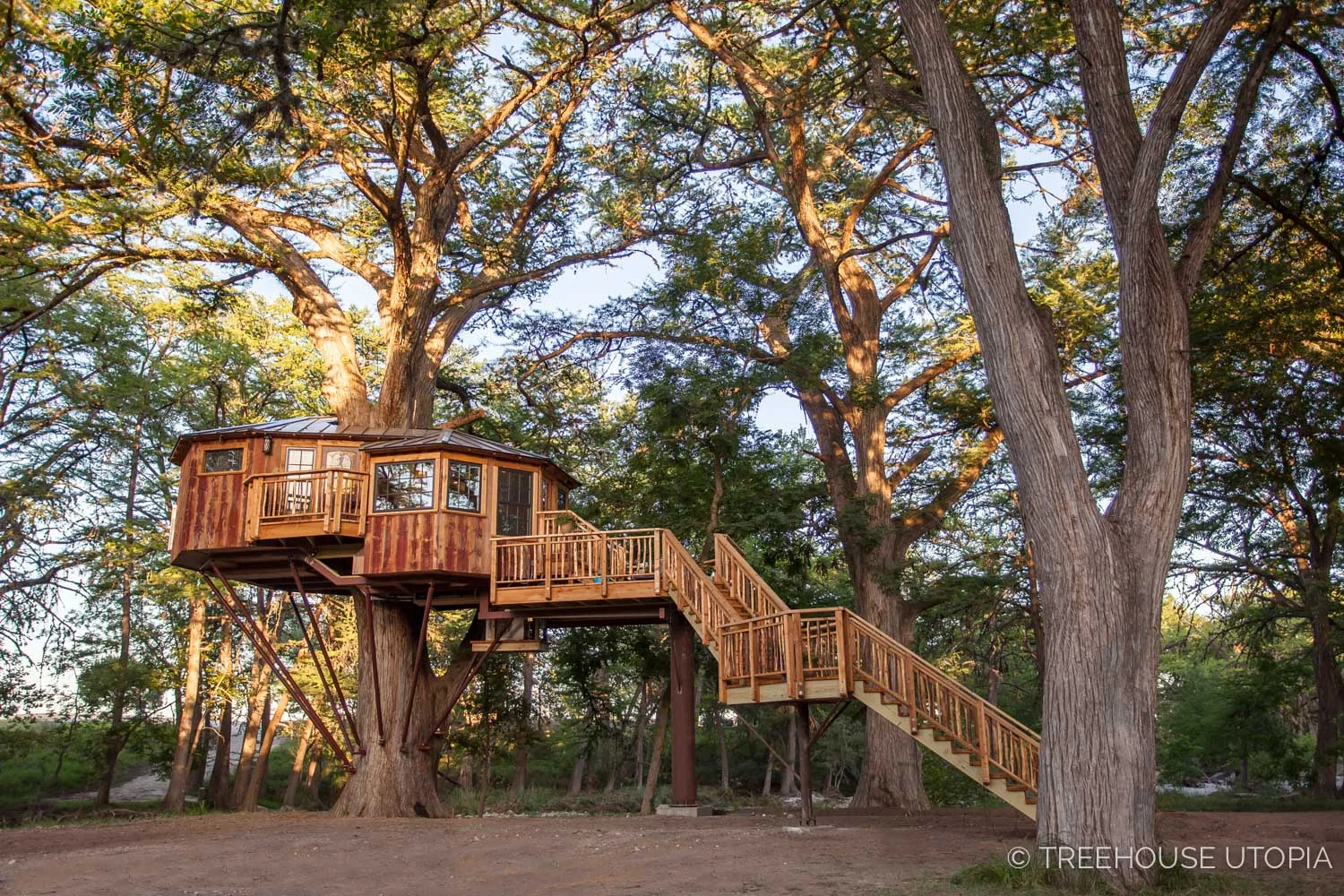 Carousel at Treehouse Utopia