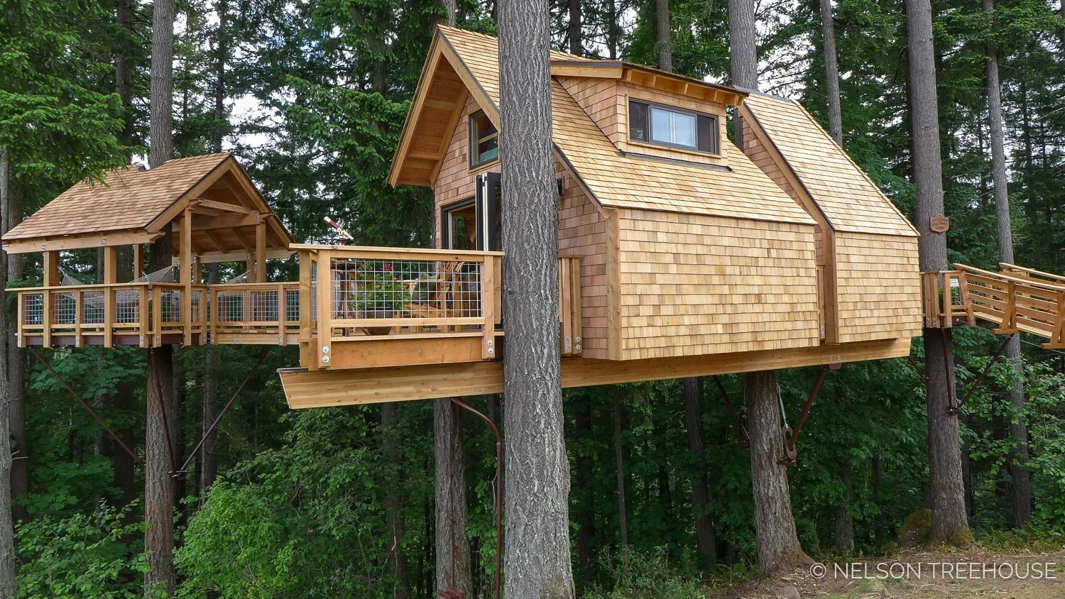 Oregon2-Nelson-Treehouse-2018-4.jpg