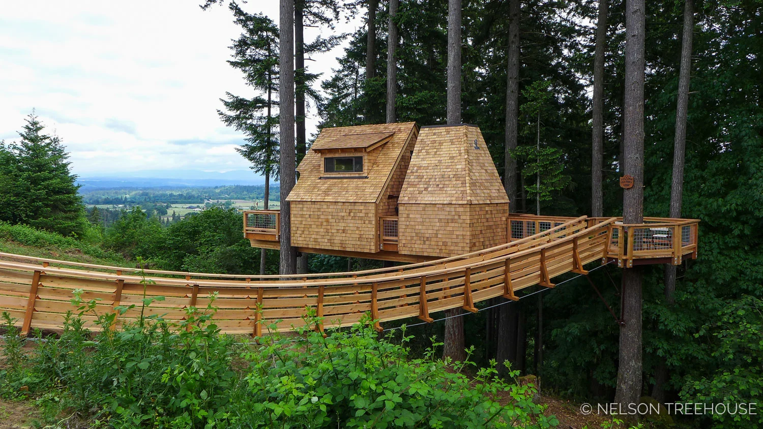 Oregon2-Nelson-Treehouse-2018-5.jpg