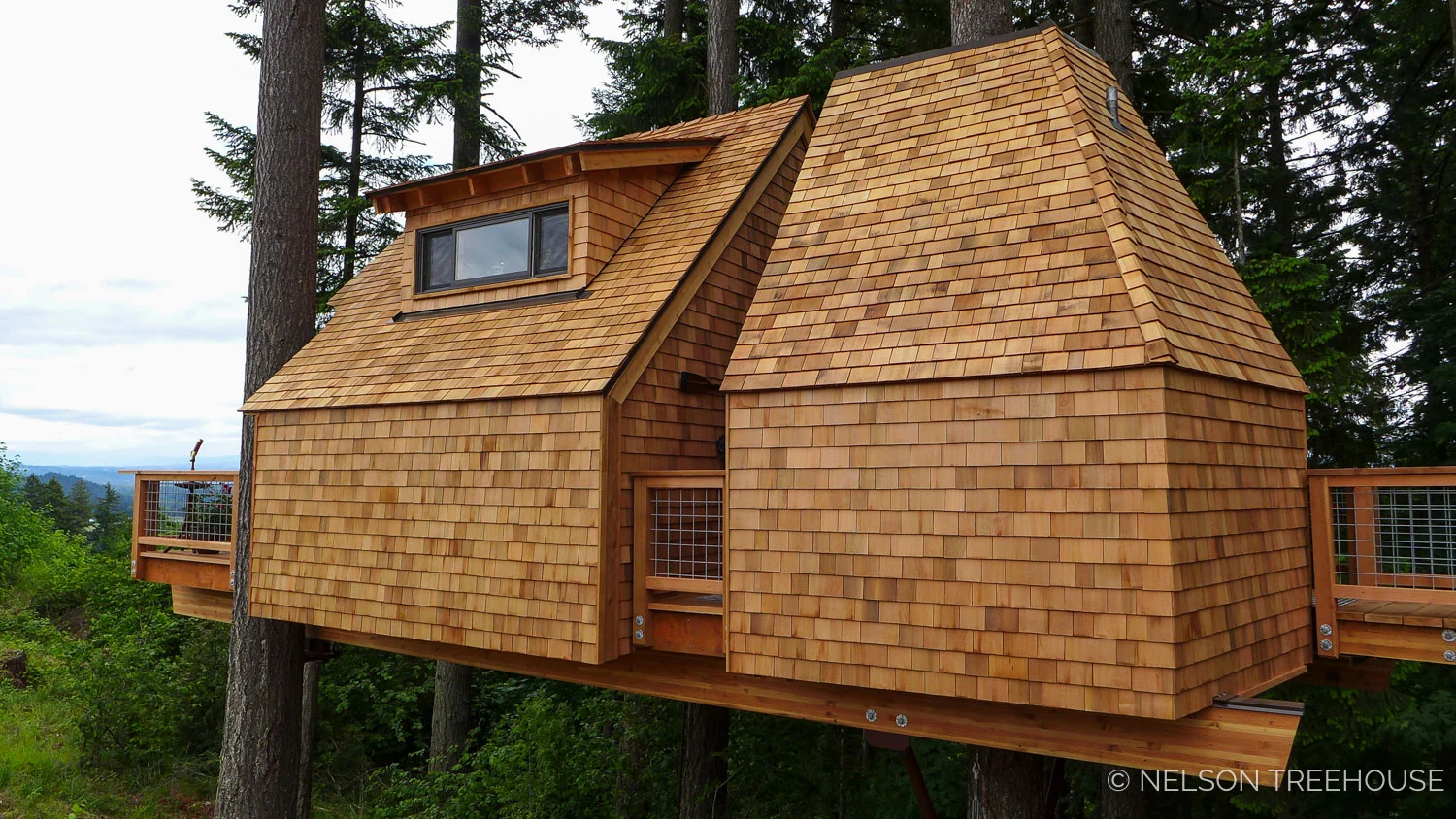 Oregon2-Nelson-Treehouse-2018-6.jpg