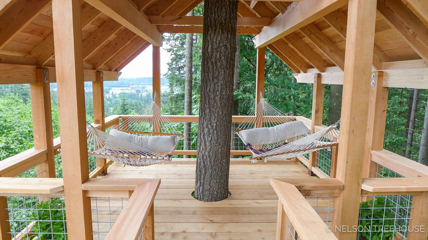 Oregon2-Nelson-Treehouse-2018-10.jpg
