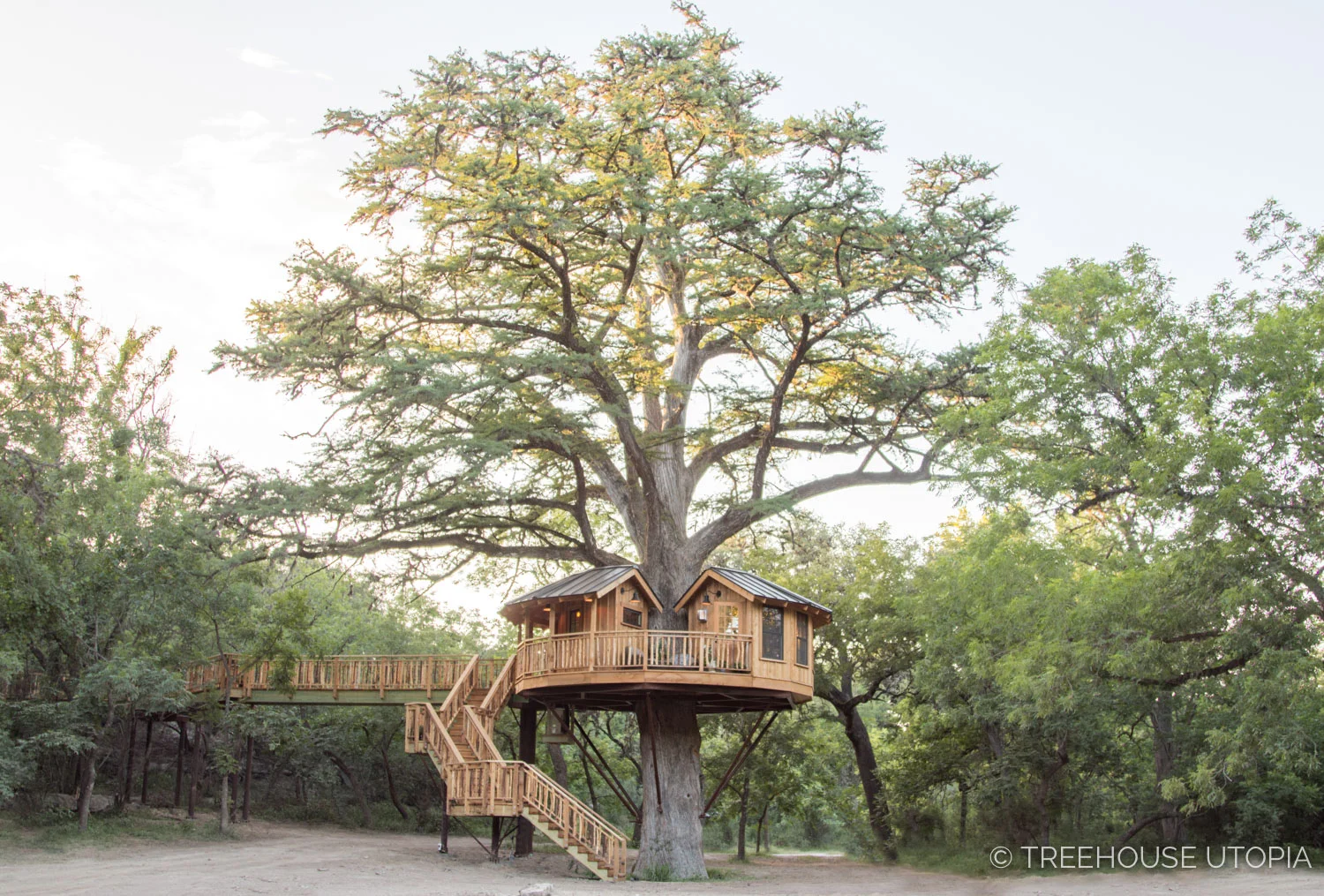 Bibliotheque_Treehouse_Utopia_2018-815.jpg