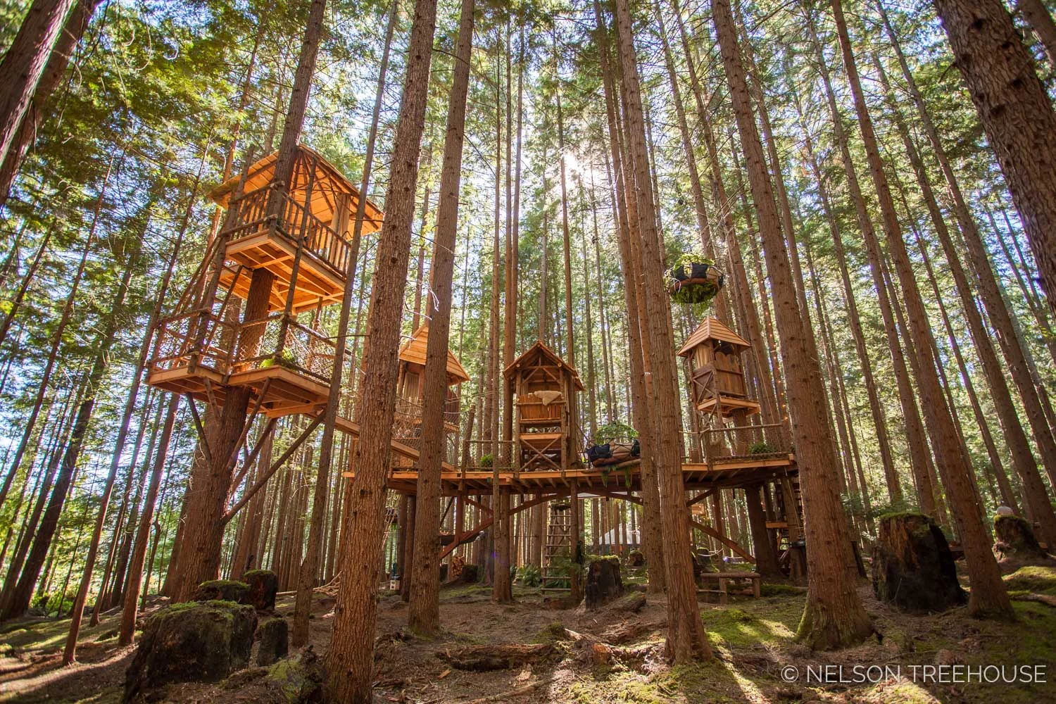 Treetop-Movie-Theater-2018-Nelson-Treehouse-200.jpg