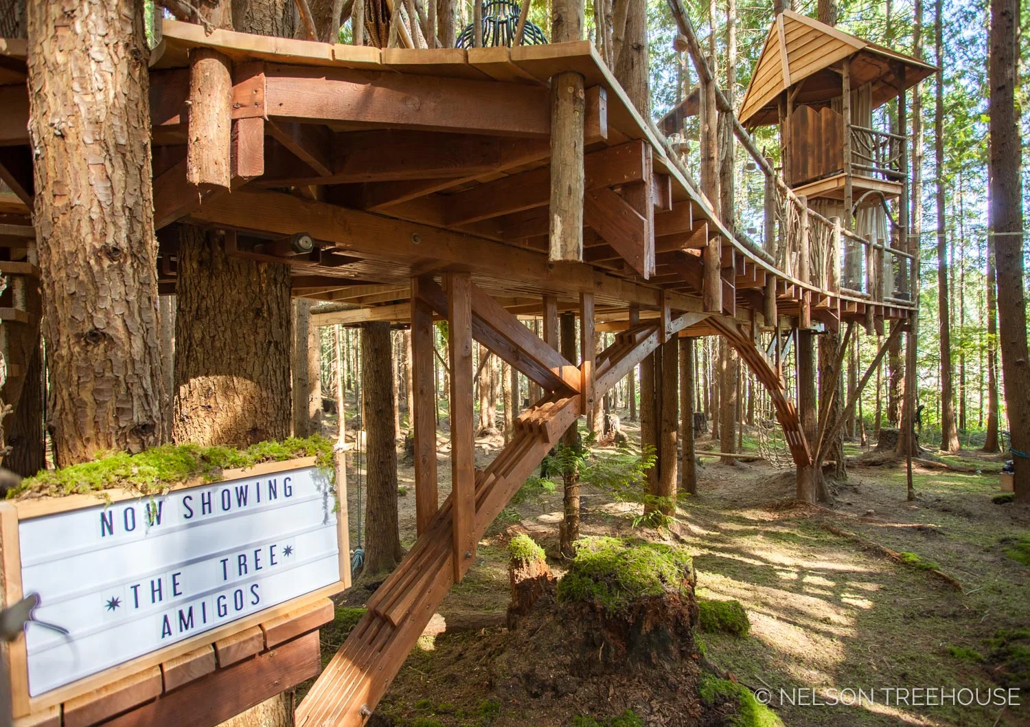 Treetop-Movie-Theater-2018-Nelson-Treehouse-537.jpg