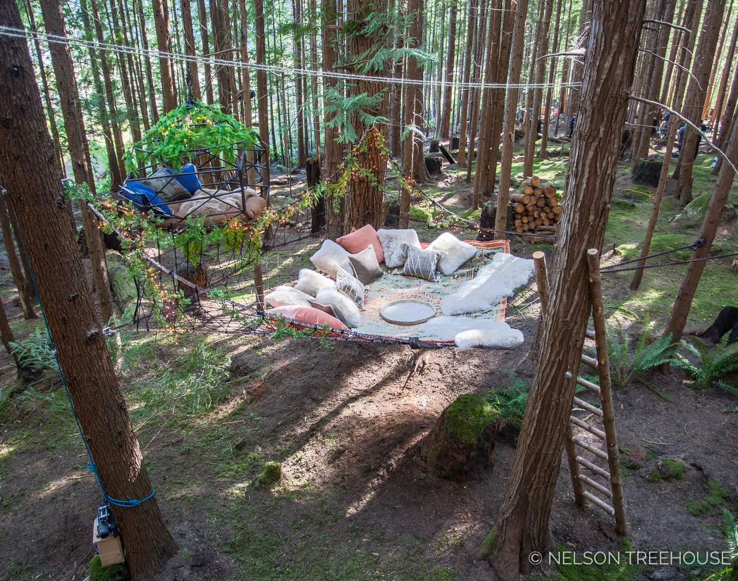 Treetop-Movie-Theater-2018-Nelson-Treehouse-589.jpg