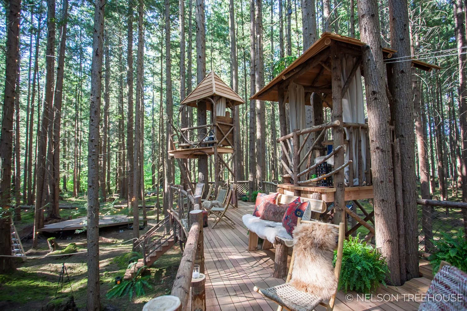 Treetop-Movie-Theater-2018-Nelson-Treehouse-627.jpg