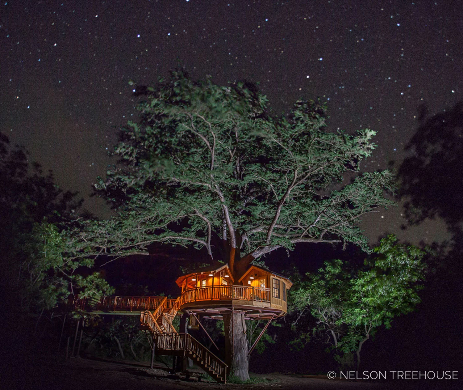 Biblioteque under the stars at Treehouse Utopia