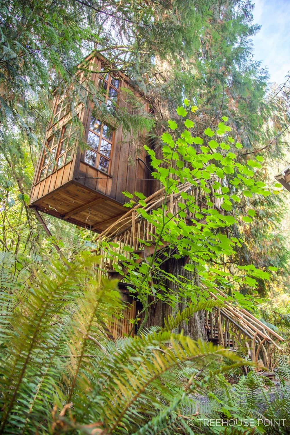 Trillium-Treehouse-Point-2018-3.jpg