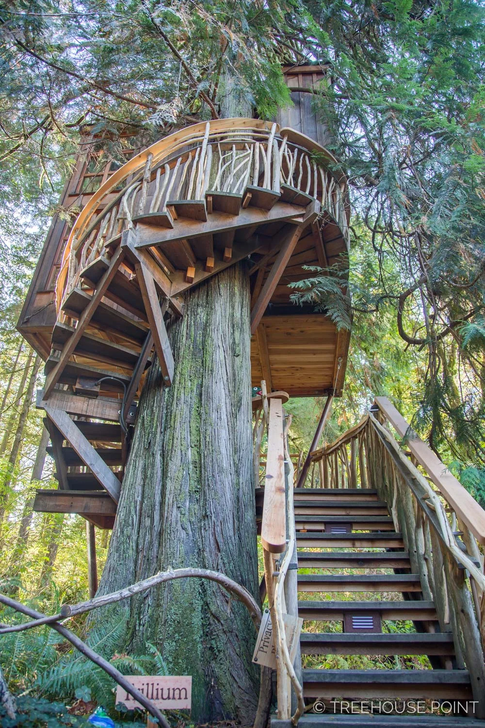 Trillium-Treehouse-Point-2018-27.jpg