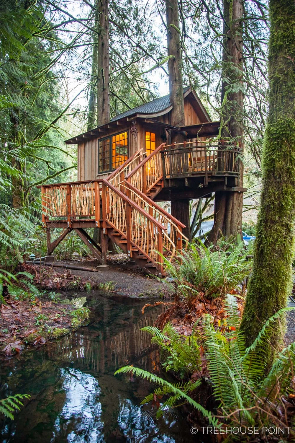 Upper_Pond_TreeHouse_Point_2018-11.jpg