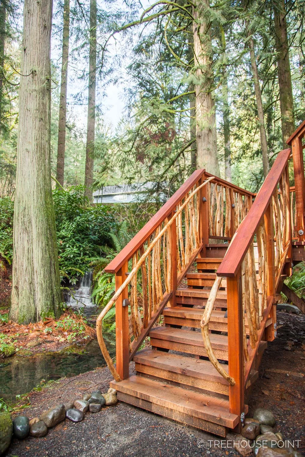 Upper_Pond_TreeHouse_Point_2018-19.jpg