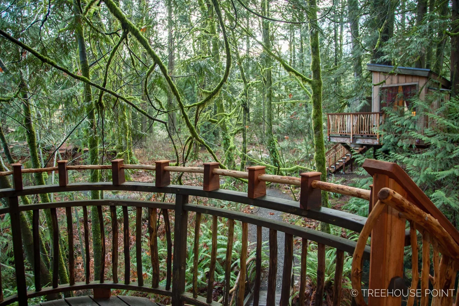 Upper_Pond_TreeHouse_Point_2018-30.jpg