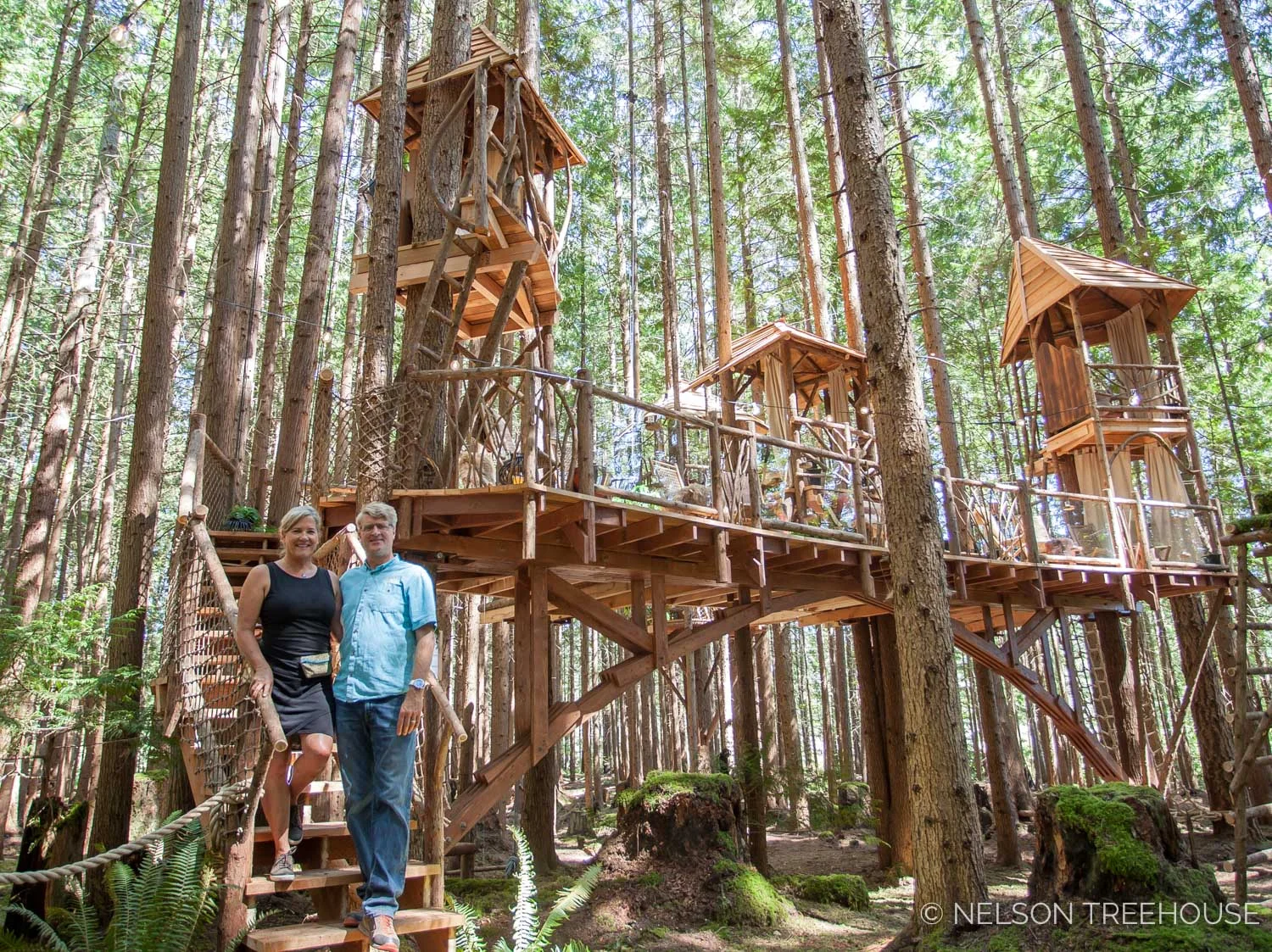 Treetop-Movie-Theater-2018-Nelson-Treehouse-29.jpg