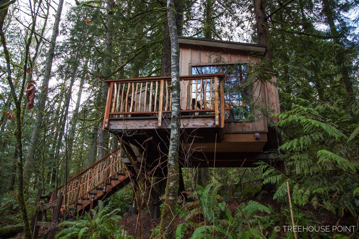 Nest_TreeHouse_Point_2018-10.jpg