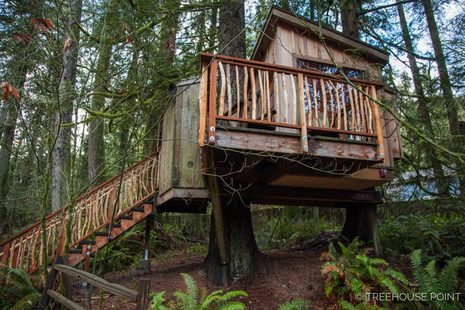 Nest_TreeHouse_Point_2018-14.jpg