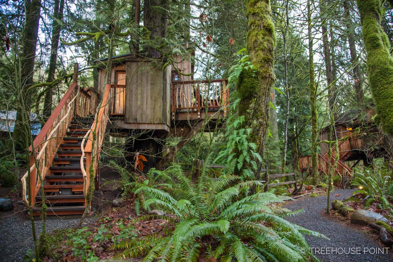 Nest_TreeHouse_Point_2018-16.jpg