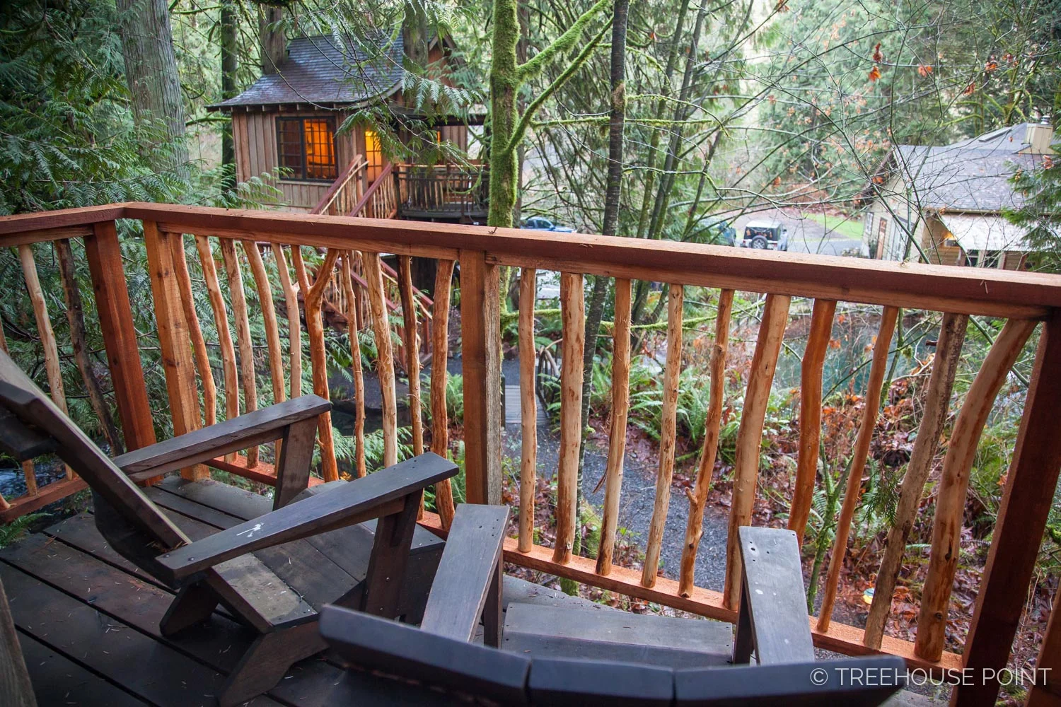 Nest_TreeHouse_Point_2018-43.jpg